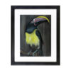 Green Aracari - Image 2