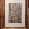 Buttercups <br><small>Powder flowers series</small> - Image 3