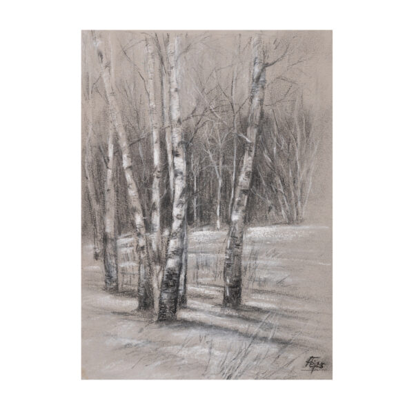 Birch grove