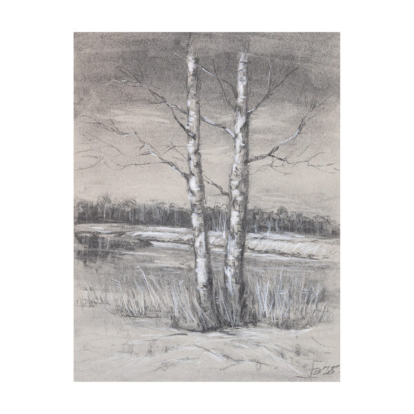 Birches by the river