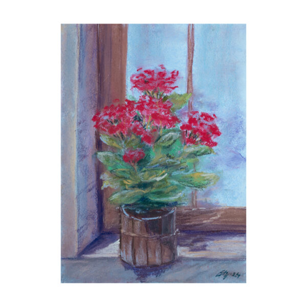 Geranium on the window