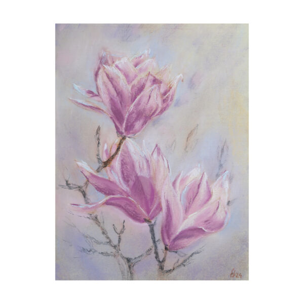Magnolia branch