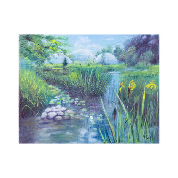 Pond.Botanical Garden Zurich